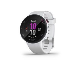 Garmin Forerunner 45s Smartwatch